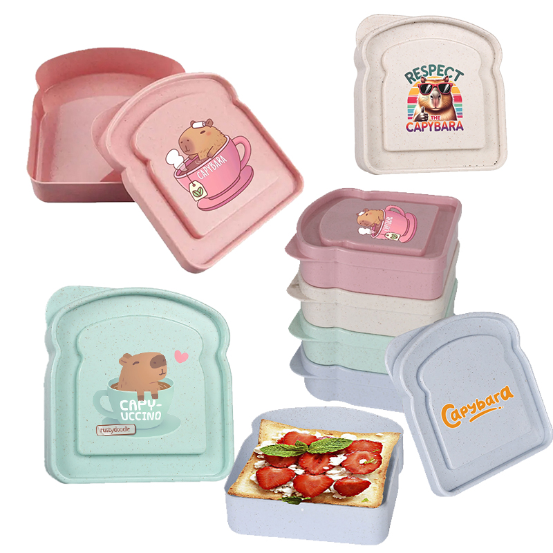 Capybara Sandwich Food Storage - огляд і ціна Salad Container Jar