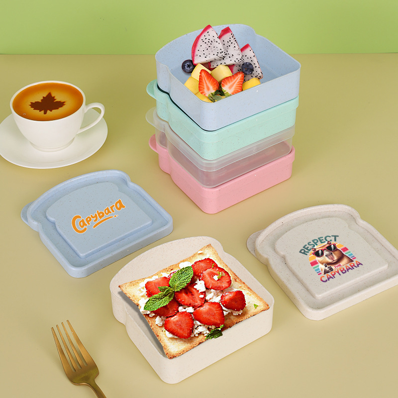 Capybara Sandwich Food Storage - огляд і ціна Salad Container Jar