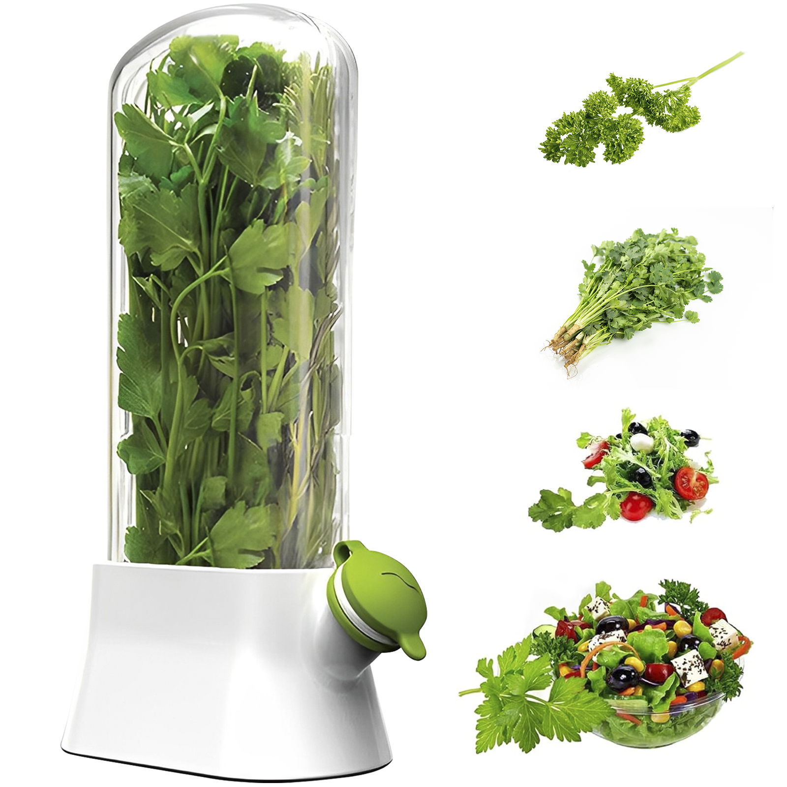 4/1PC Herb Freshkeeping Box Fr - огляд і ціна Herb Keeper Bottle