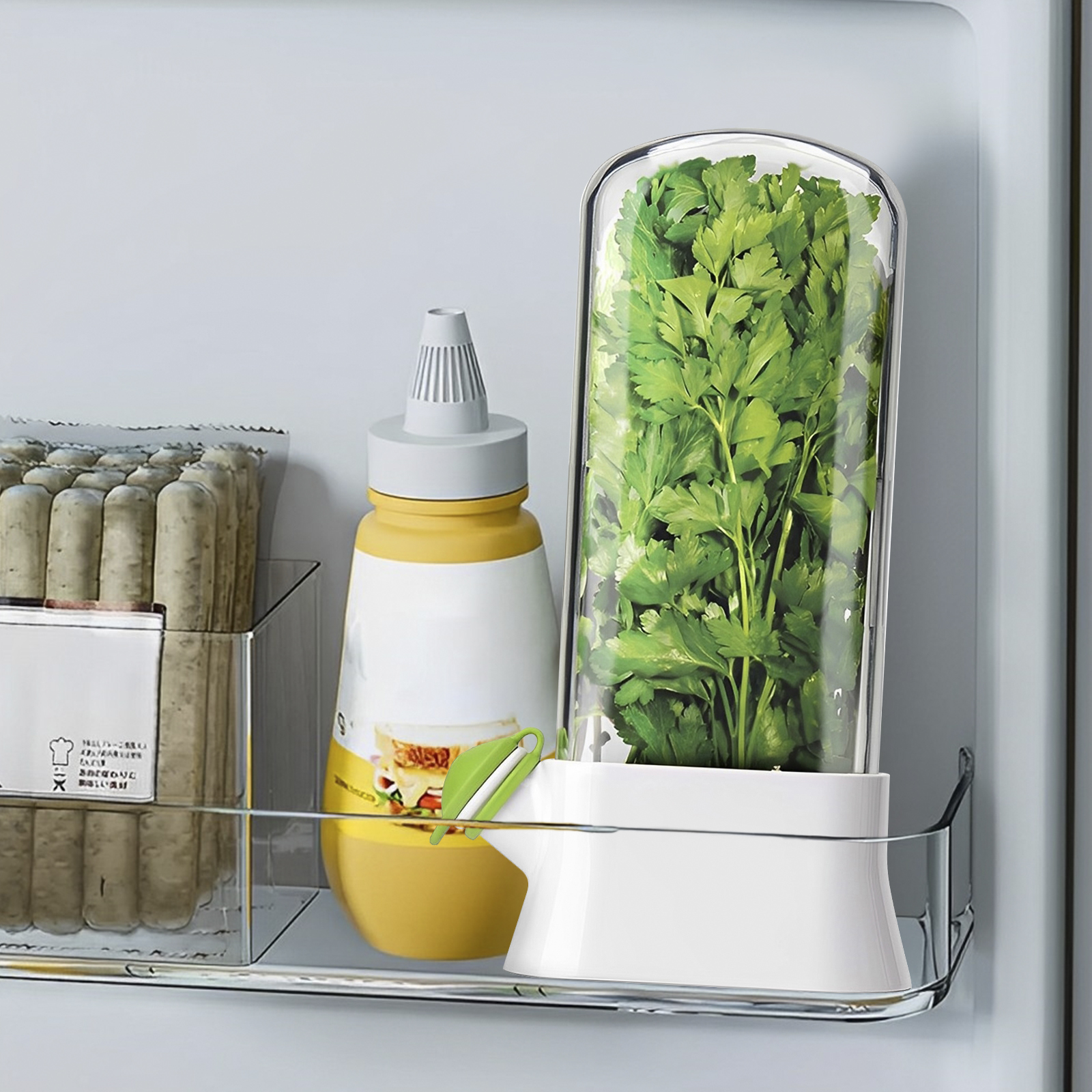 4/1PC Herb Freshkeeping Box Fr - огляд і ціна Herb Keeper Bottle
