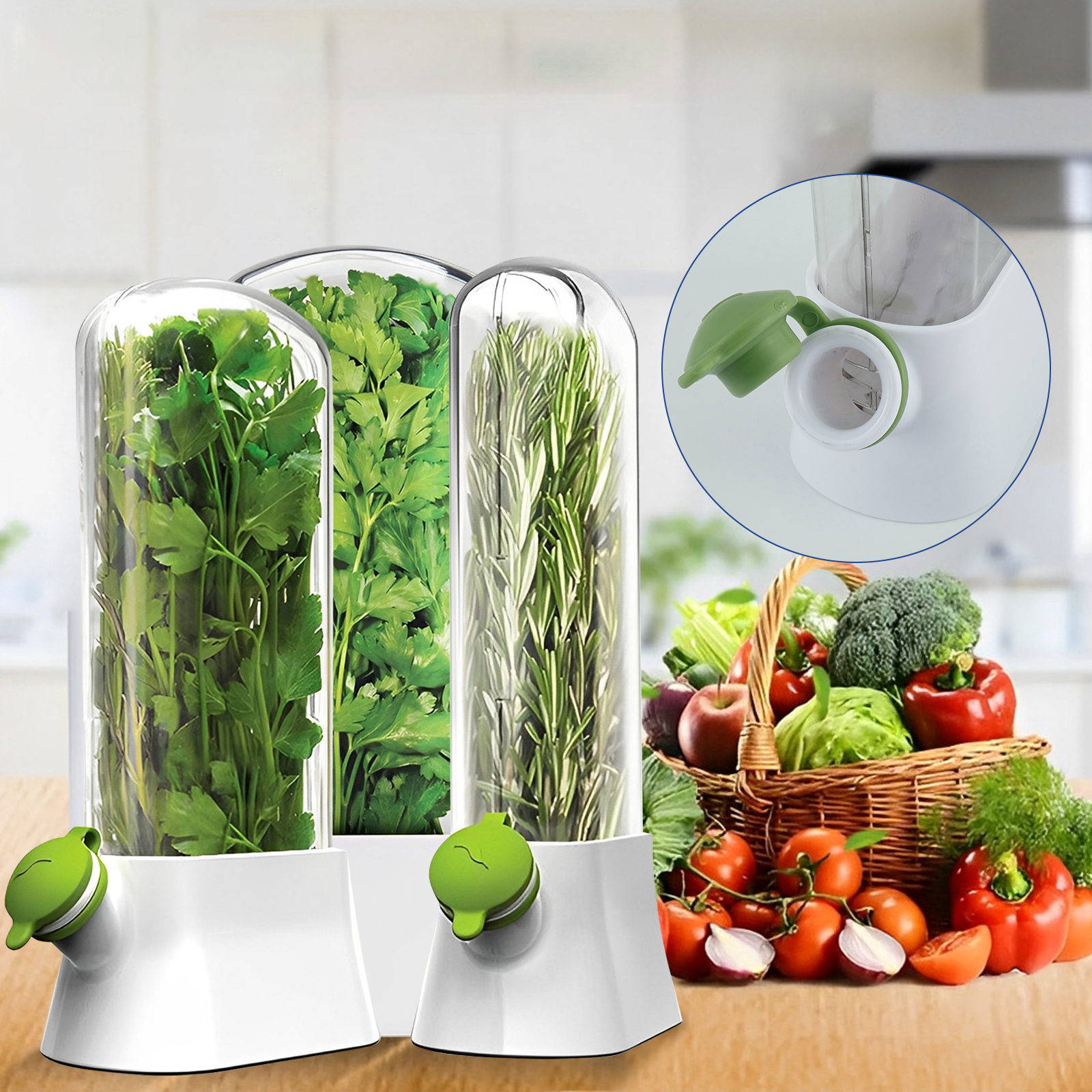 4/1PC Herb Freshkeeping Box Fr - огляд і ціна Herb Keeper Bottle